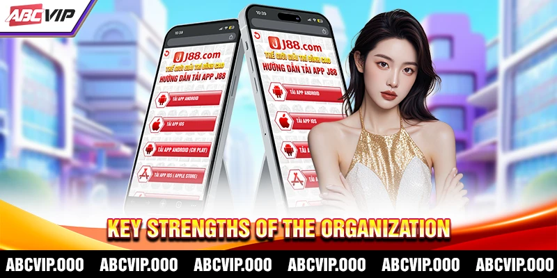 Strengths of the unit